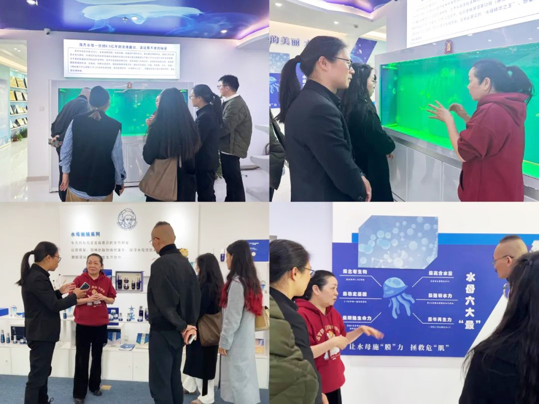 美御品牌战略 美御品牌战略