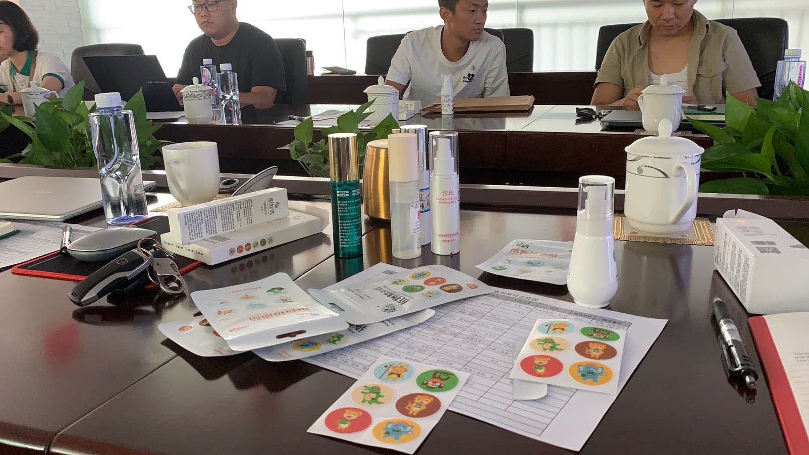 驱蚊产品品牌全案策划 驱蚊产品品牌全案策划