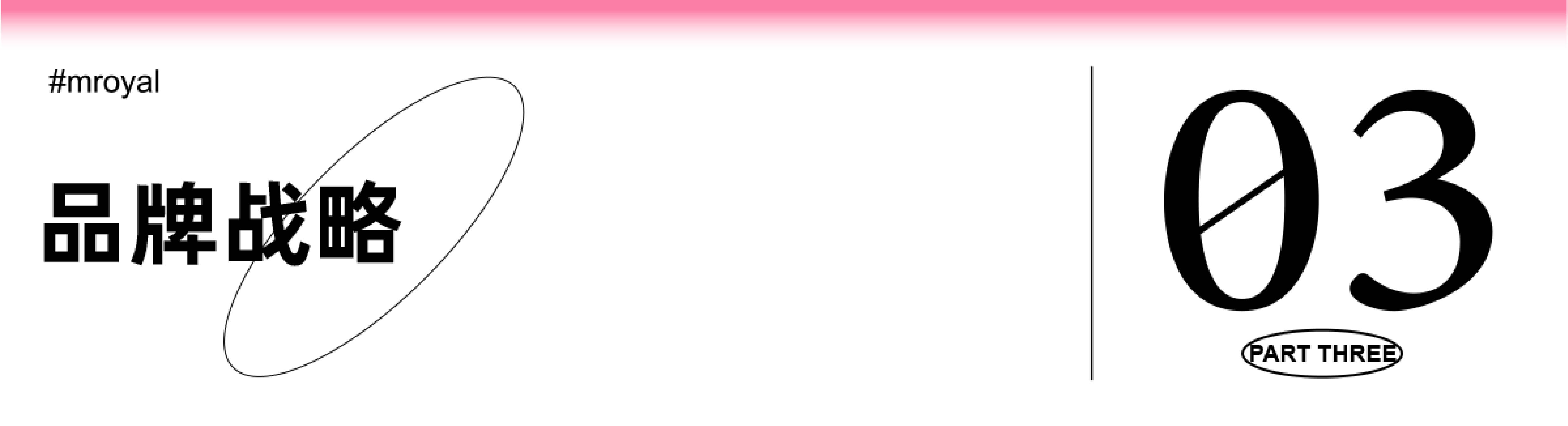 品牌战略03_画板 1 副本 14.jpg