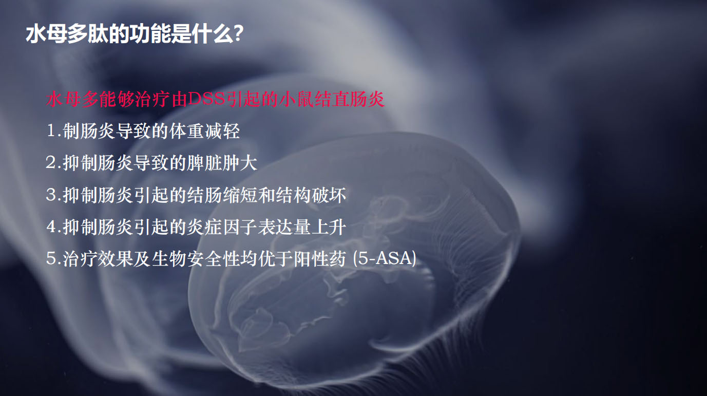 特医食品营养品品牌全案策划