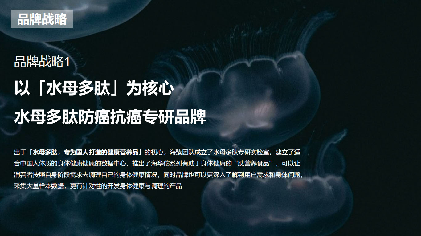 特医食品营养品品牌全案策划