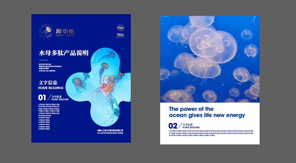 特医食品营养品品牌全案策划